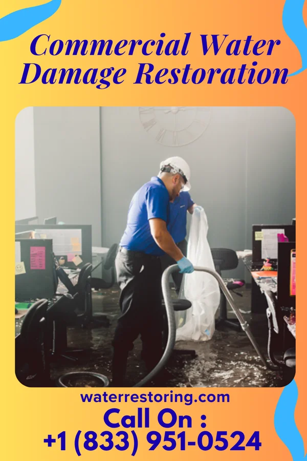 Commercial Water Damage Restoration in Langston, AL